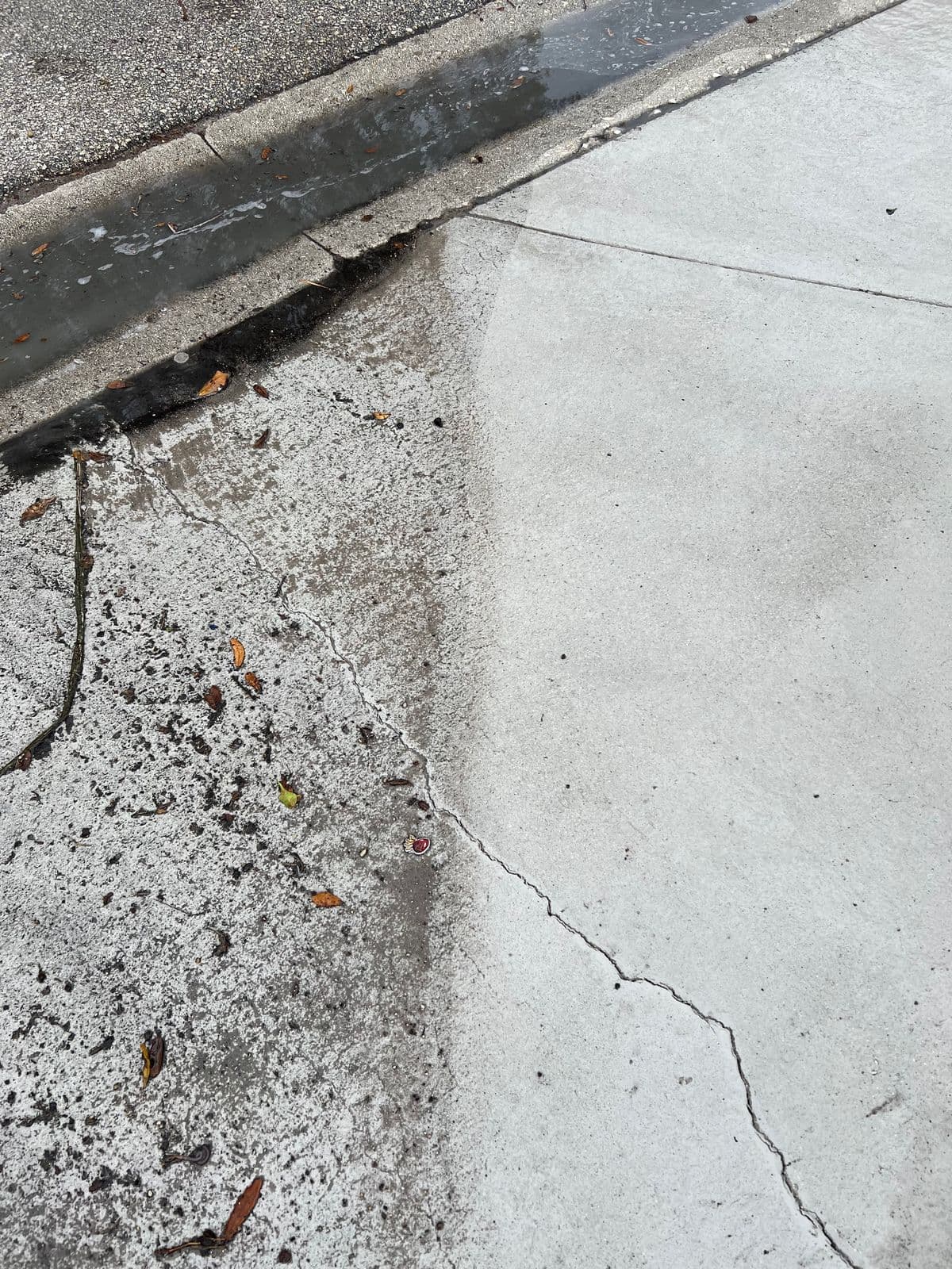 A concrete driveway with a sharp diagonal line between the grey, mildewed half and the freshly cleaned half